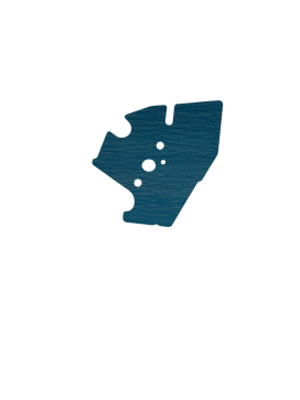 PKG CARB HONDA # 16221Z0H010